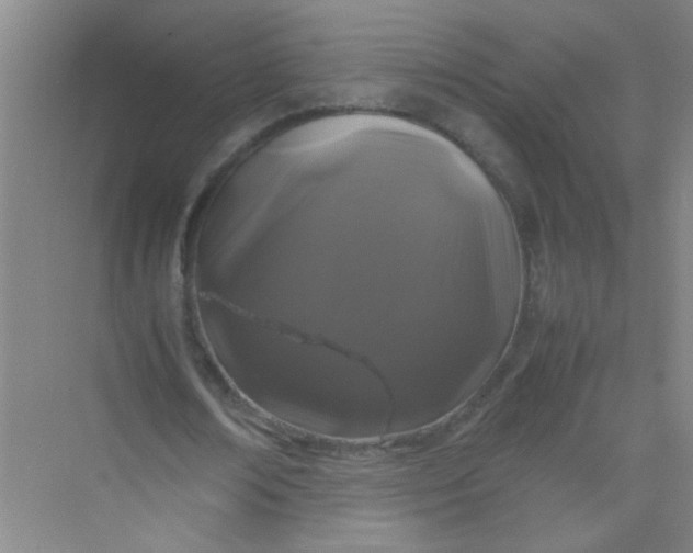 X0000070230674200606091718