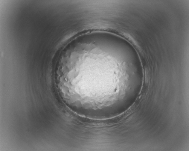 X0000070230675200606091718