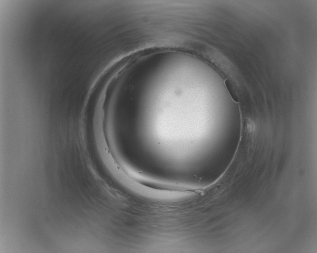 X0000070230676200606091718