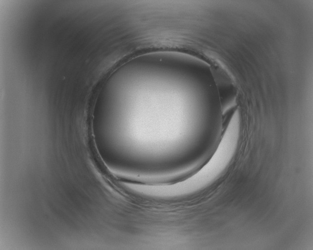 X0000070230677200606091718