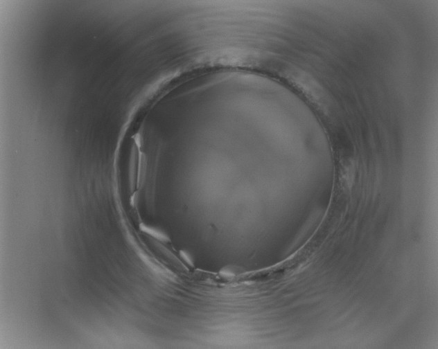 X0000070230678200606091718