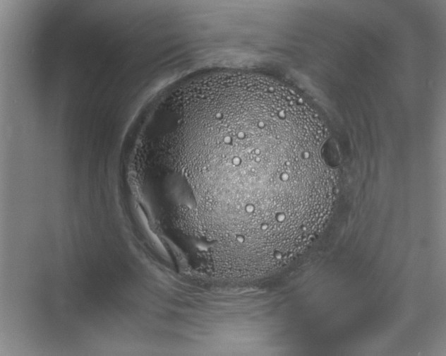 X0000070230679200606091718