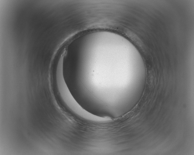 X0000070230680200606091718