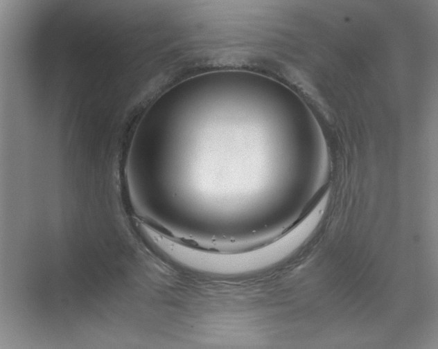 X0000070230681200606091717