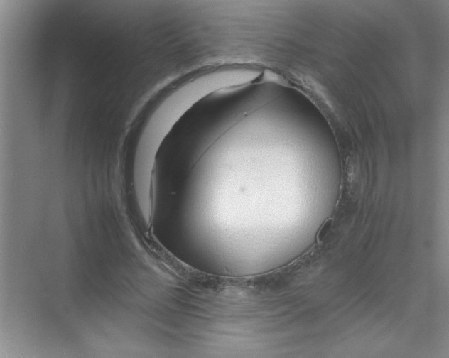 X0000070230684200606091717