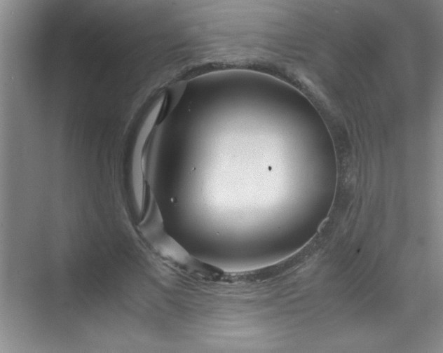 X0000070230685200606091717