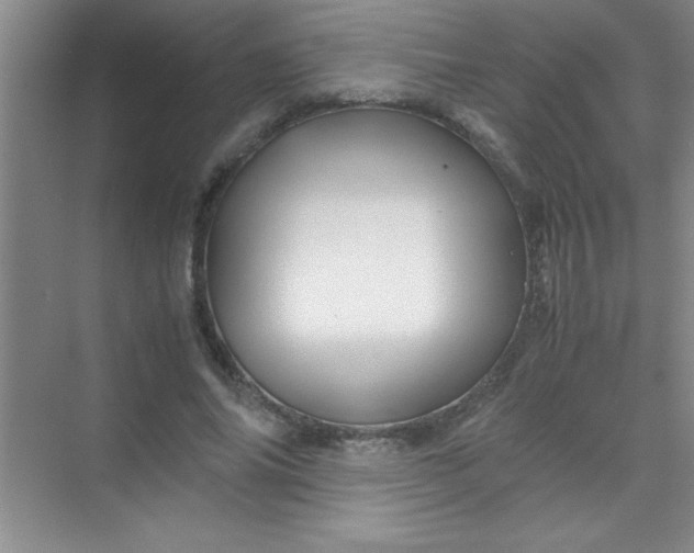 X0000070230686200606091717