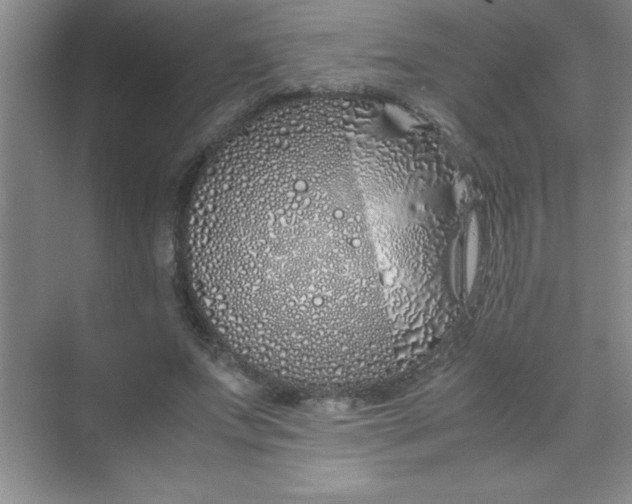 X0000070230687200606091717