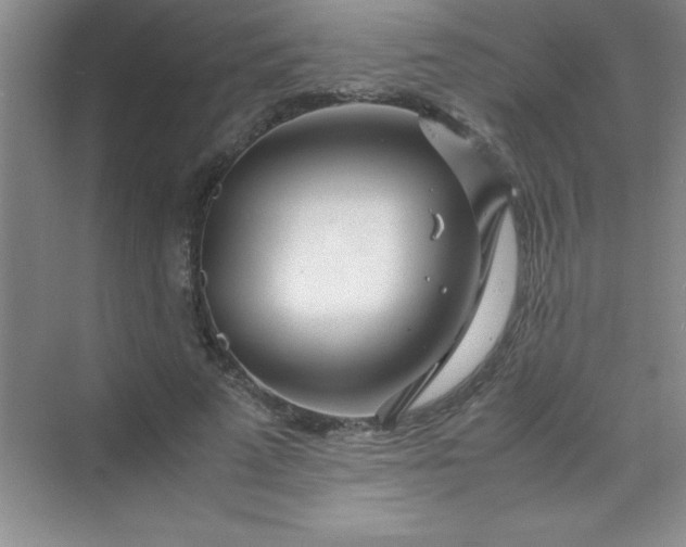 X0000070230689200606091717