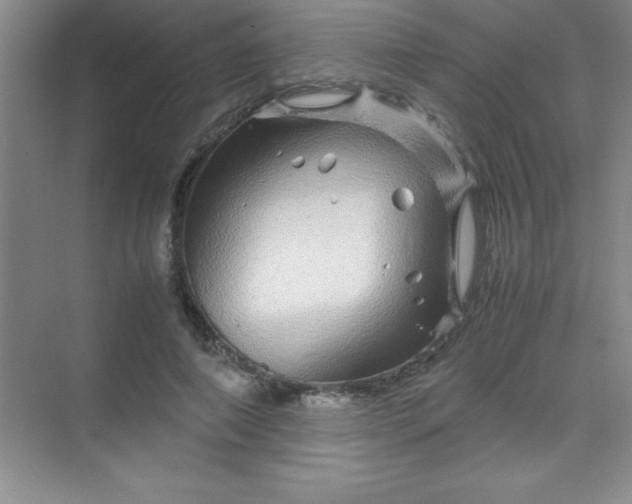 X0000070230690200606091717