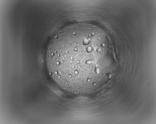 X0000070230691200606091717