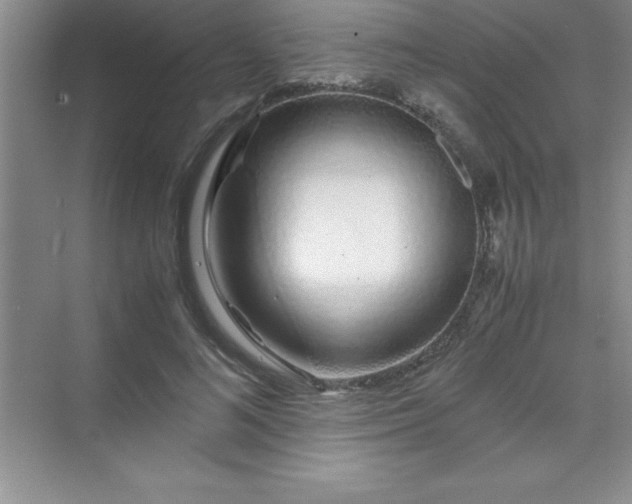 X0000070230692200606091717