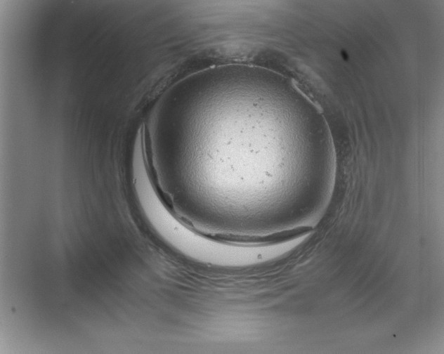 X0000070230693200606091717