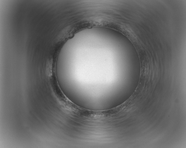 X0000070230694200606091717