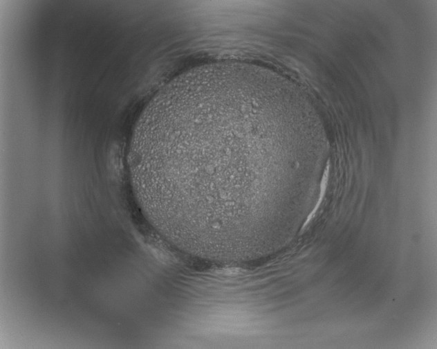 X0000070230695200606091717