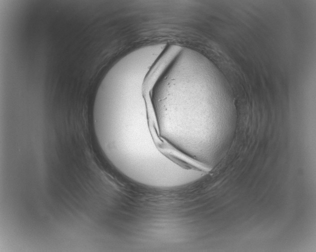 X0000070230696200606091717