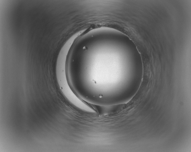 X0000070230697200606091717