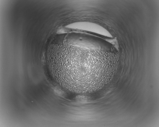 X0000070230699200606091717