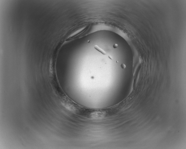 X0000070230700200606091717