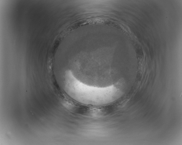 X0000070230701200606091717