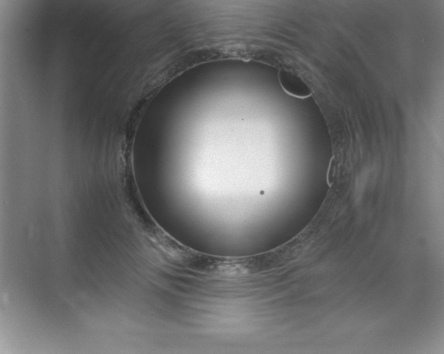 X0000070230702200606091717