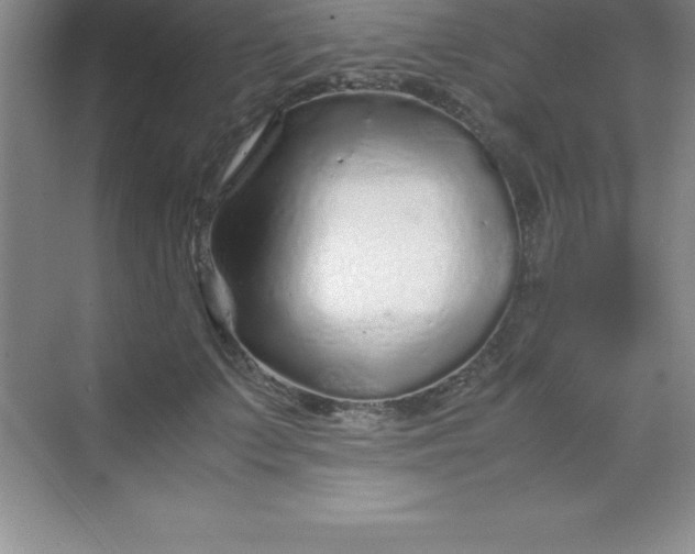 X0000070230703200606091717