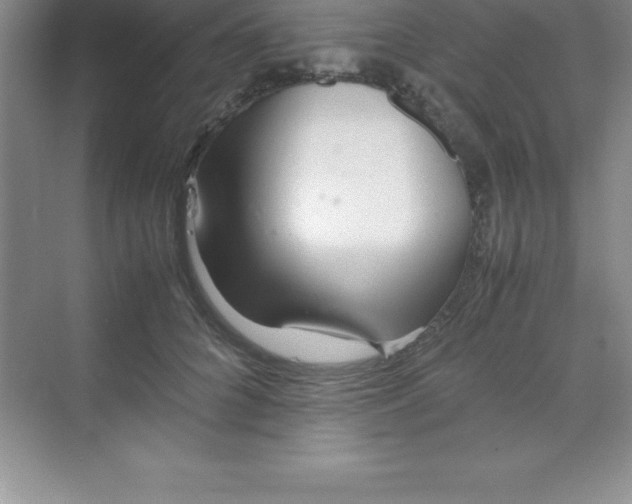 X0000070230704200606091717