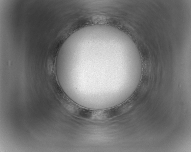 X0000070230705200606091717