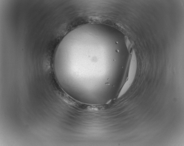 X0000070230706200606091717