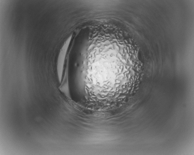 X0000070230707200606091717