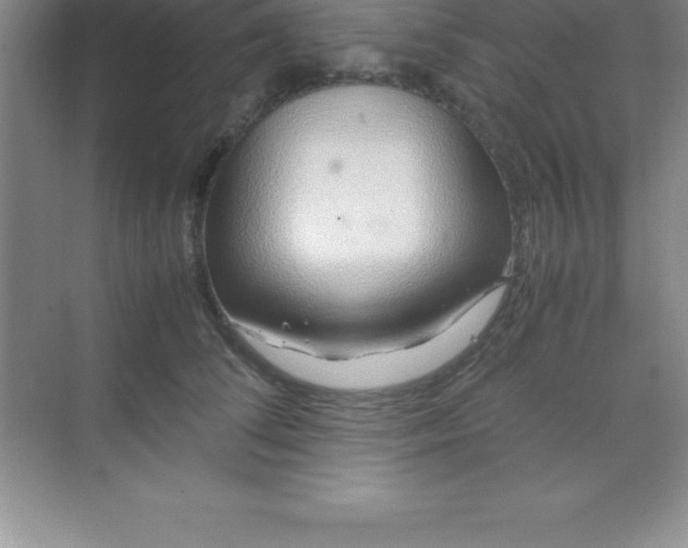 X0000070230708200606091717