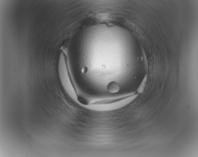 X0000070230710200606091717