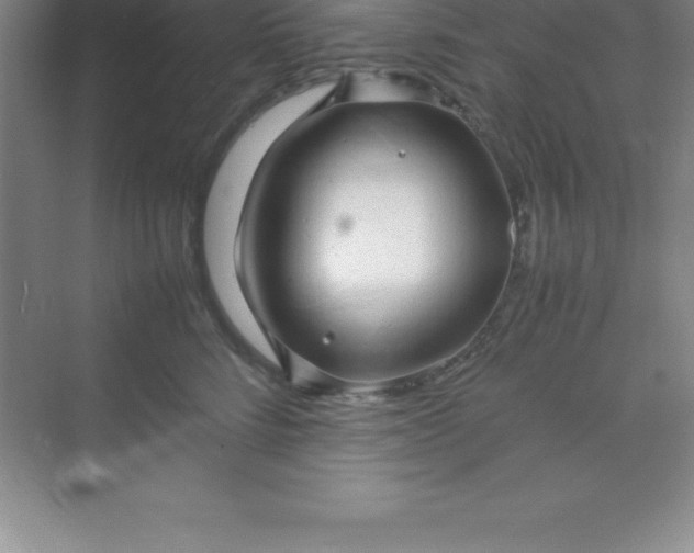 X0000070230712200606091717