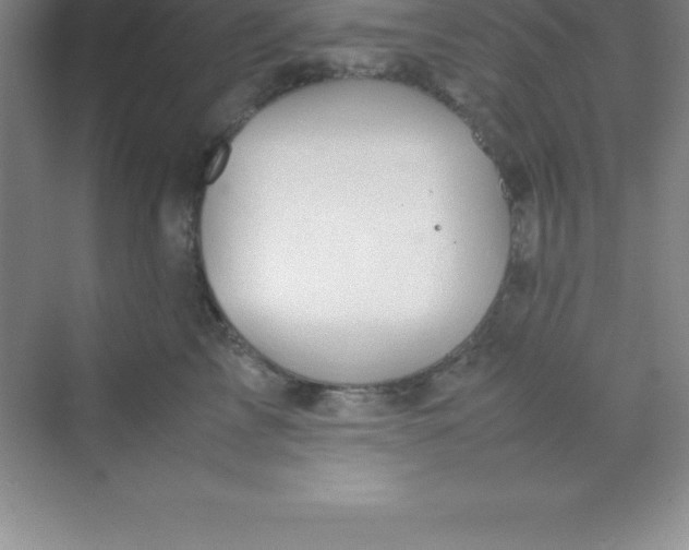 X0000070230713200606091717