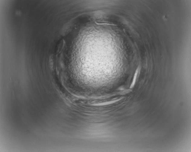 X0000070230715200606091717