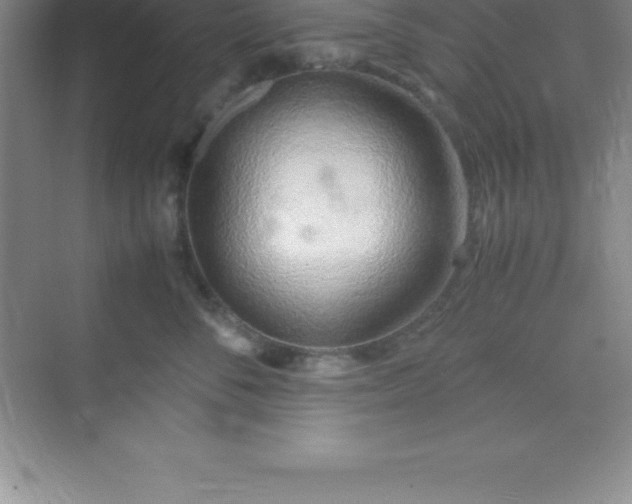 X0000070230716200606091717