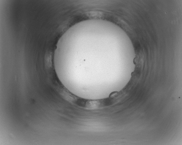 X0000070230717200606091717