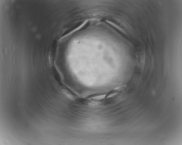 X0000070230718200606091717