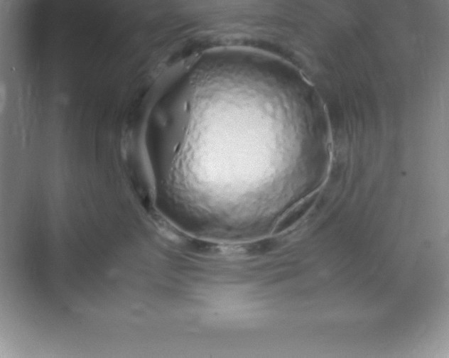 X0000070230719200606091717