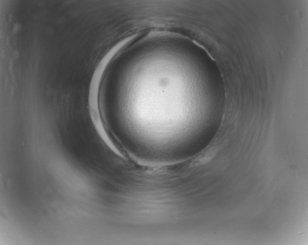 X0000070230720200606091717