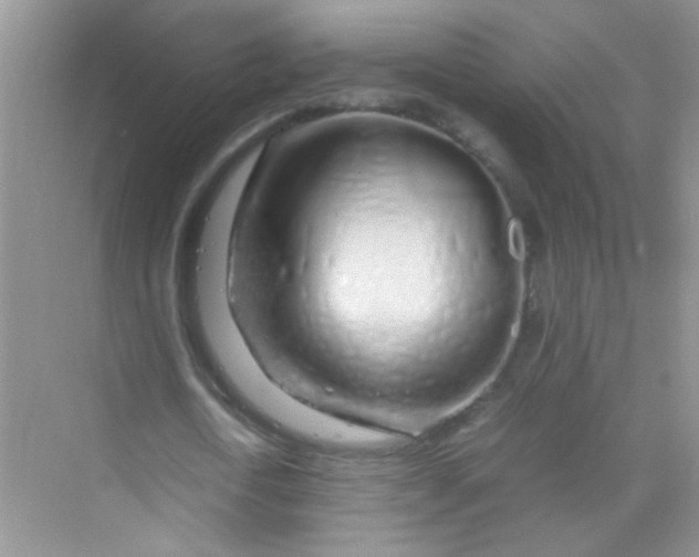 X0000070230722200606091716