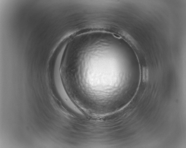 X0000070230723200606091716