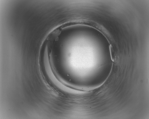 X0000070230724200606091716