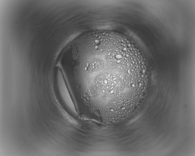 X0000070230725200606091716