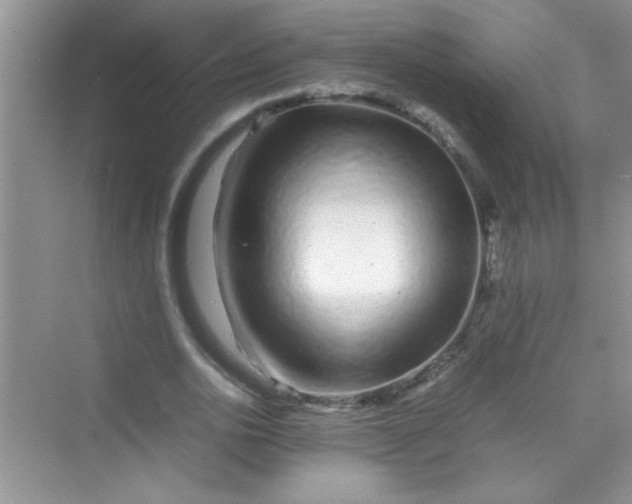 X0000070230726200606091716