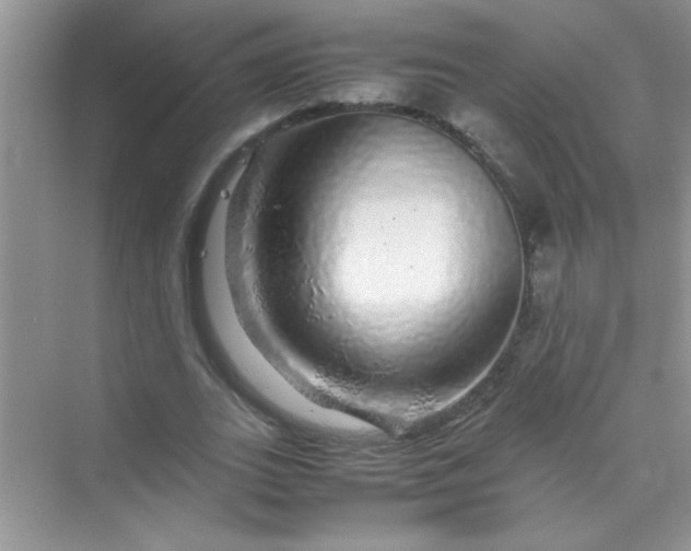 X0000070230727200606091716