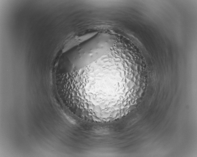 X0000070230729200606091716