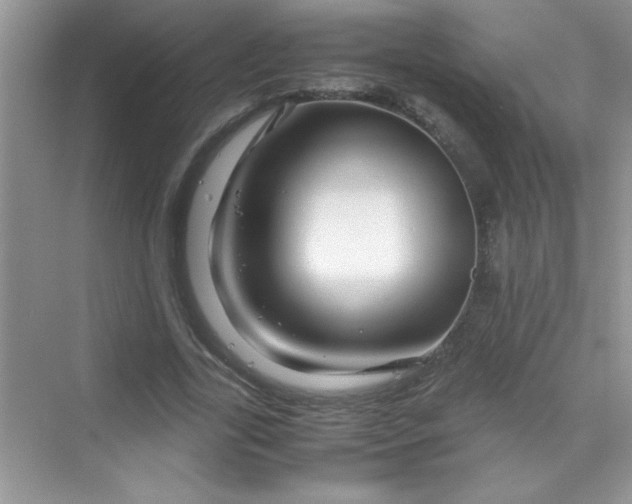 X0000070230731200606091716