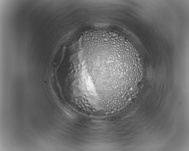 X0000070230733200606091716