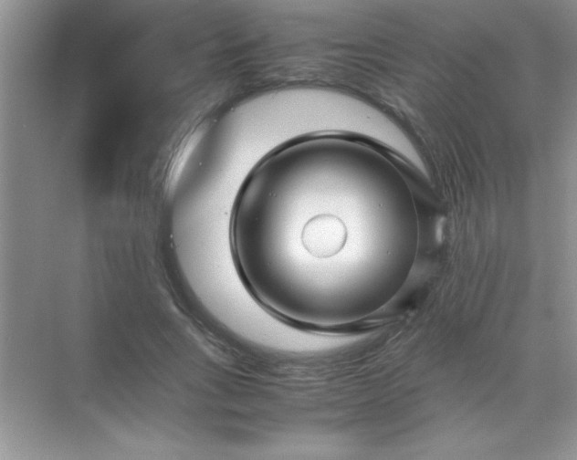 X0000070230735200606091716